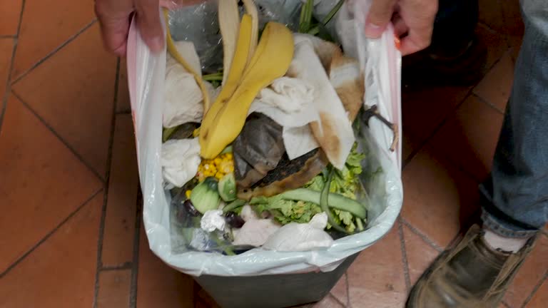 Best Retail Junk Removal  in Carney, MD